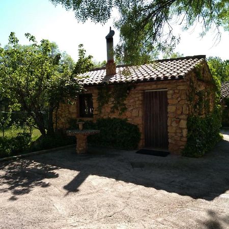 Casas Rurales Picos Del Oso Riópar Екстериор снимка