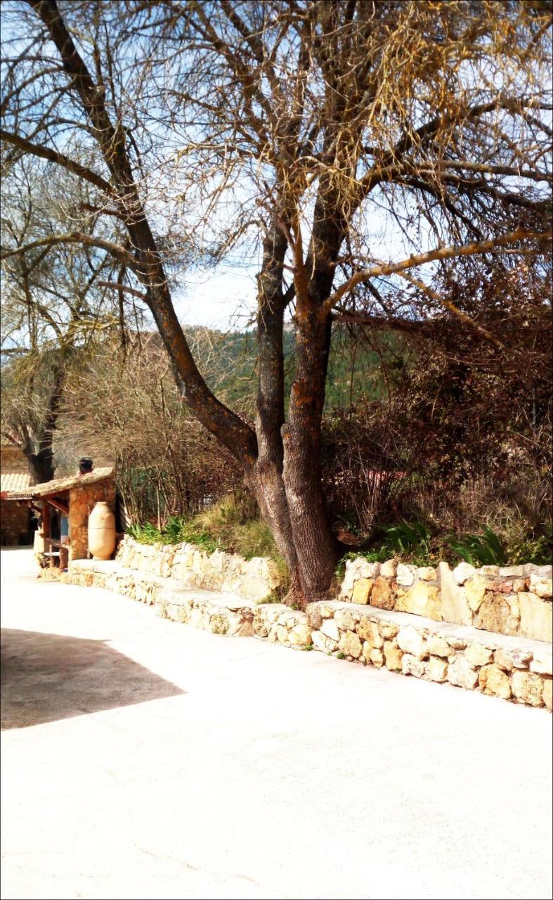Casas Rurales Picos Del Oso Riópar Екстериор снимка
