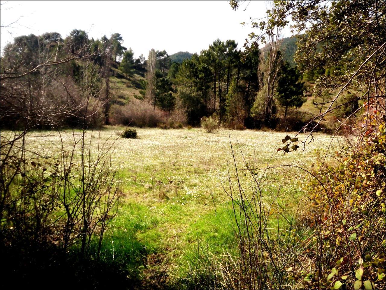 Casas Rurales Picos Del Oso Riópar Екстериор снимка