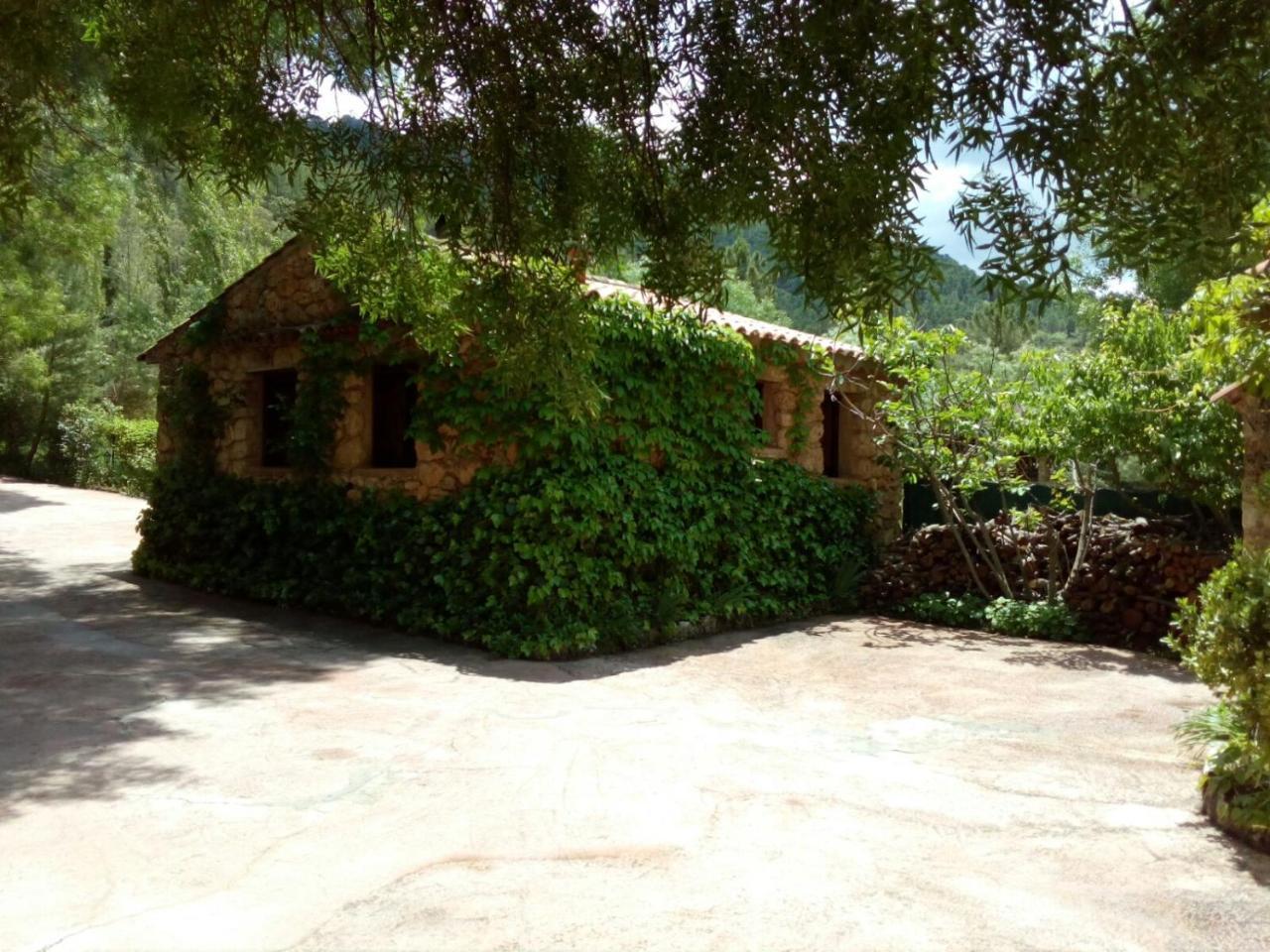 Casas Rurales Picos Del Oso Riópar Екстериор снимка