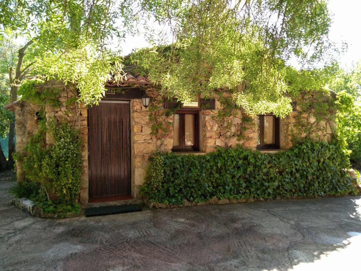 Casas Rurales Picos Del Oso Riópar Екстериор снимка