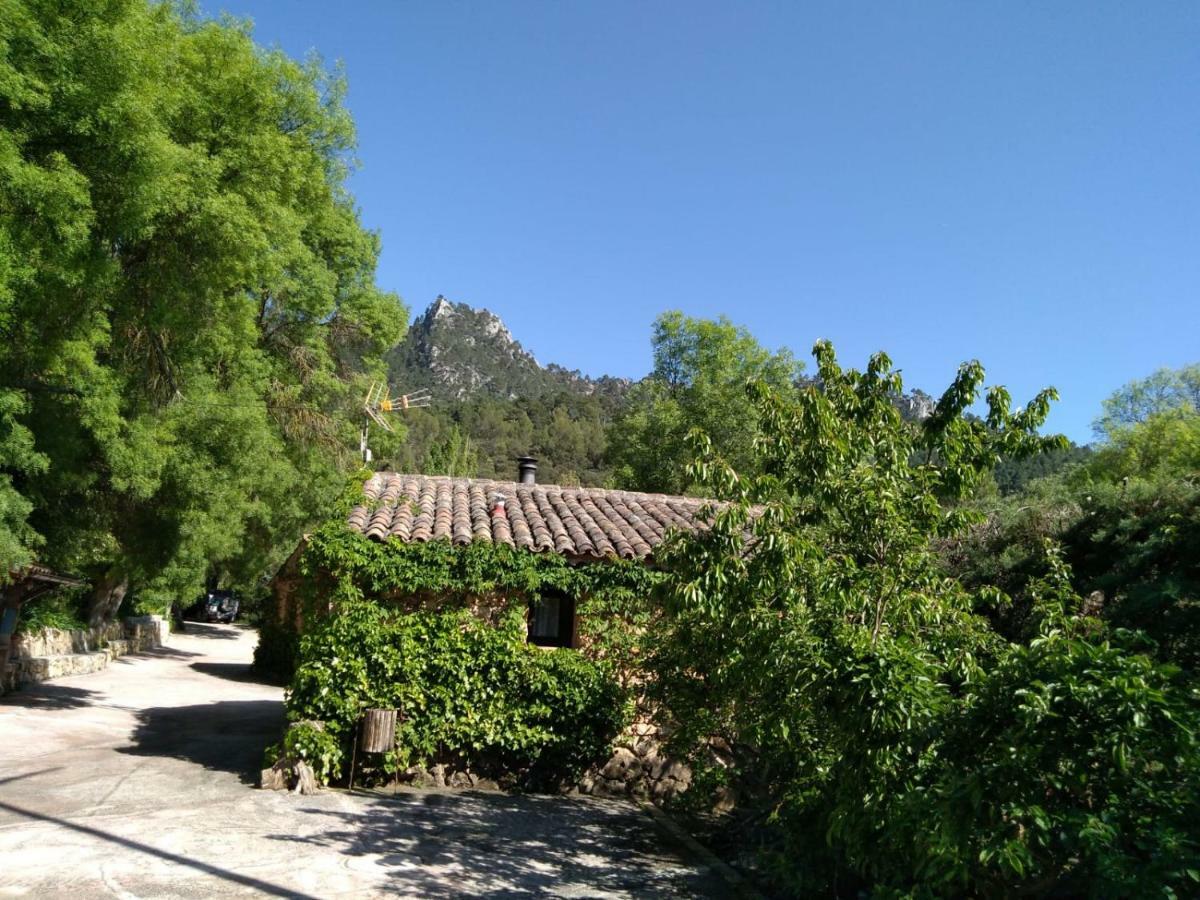 Casas Rurales Picos Del Oso Riópar Екстериор снимка